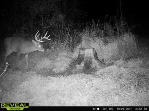 Buck2-1021