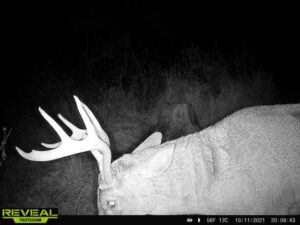 Buck4-1021